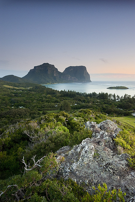 Expert Advice: Landscape Insights (Part Four)